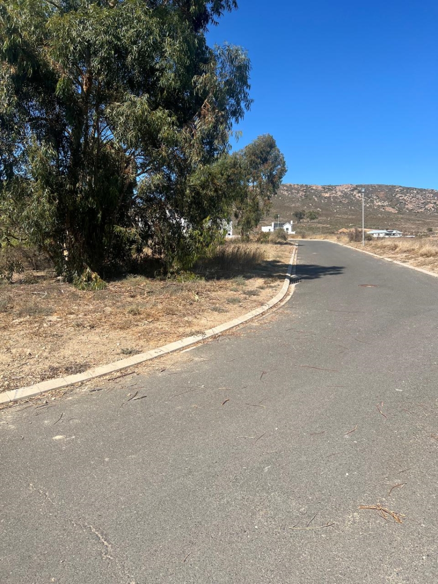 Commercial Property for Sale in Steenbergs Cove Western Cape